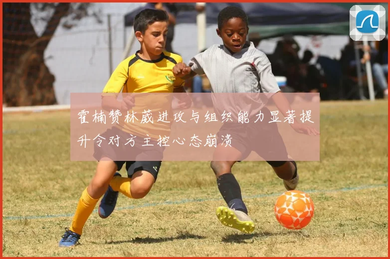 霍楠赞林葳进攻与组织能力显著提升令对方主控心态崩溃